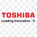 Toshiba Power Protection